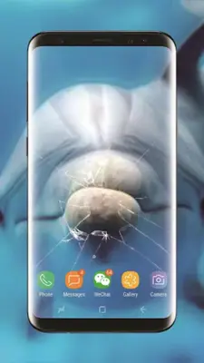 Lovely Dolphin Live Wallpaper android App screenshot 0