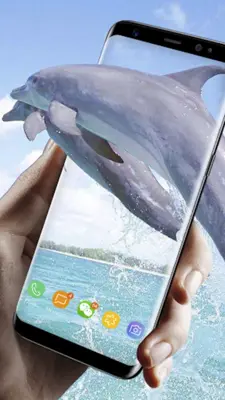 Lovely Dolphin Live Wallpaper android App screenshot 1